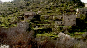 homes